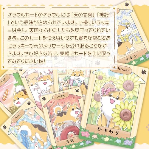 【正規品オラクルカード】生産150個限定のレア物！✨ハウスキャットVol.1 正規品オラクルカード】生産150個限定のレア物！✨ハウス
